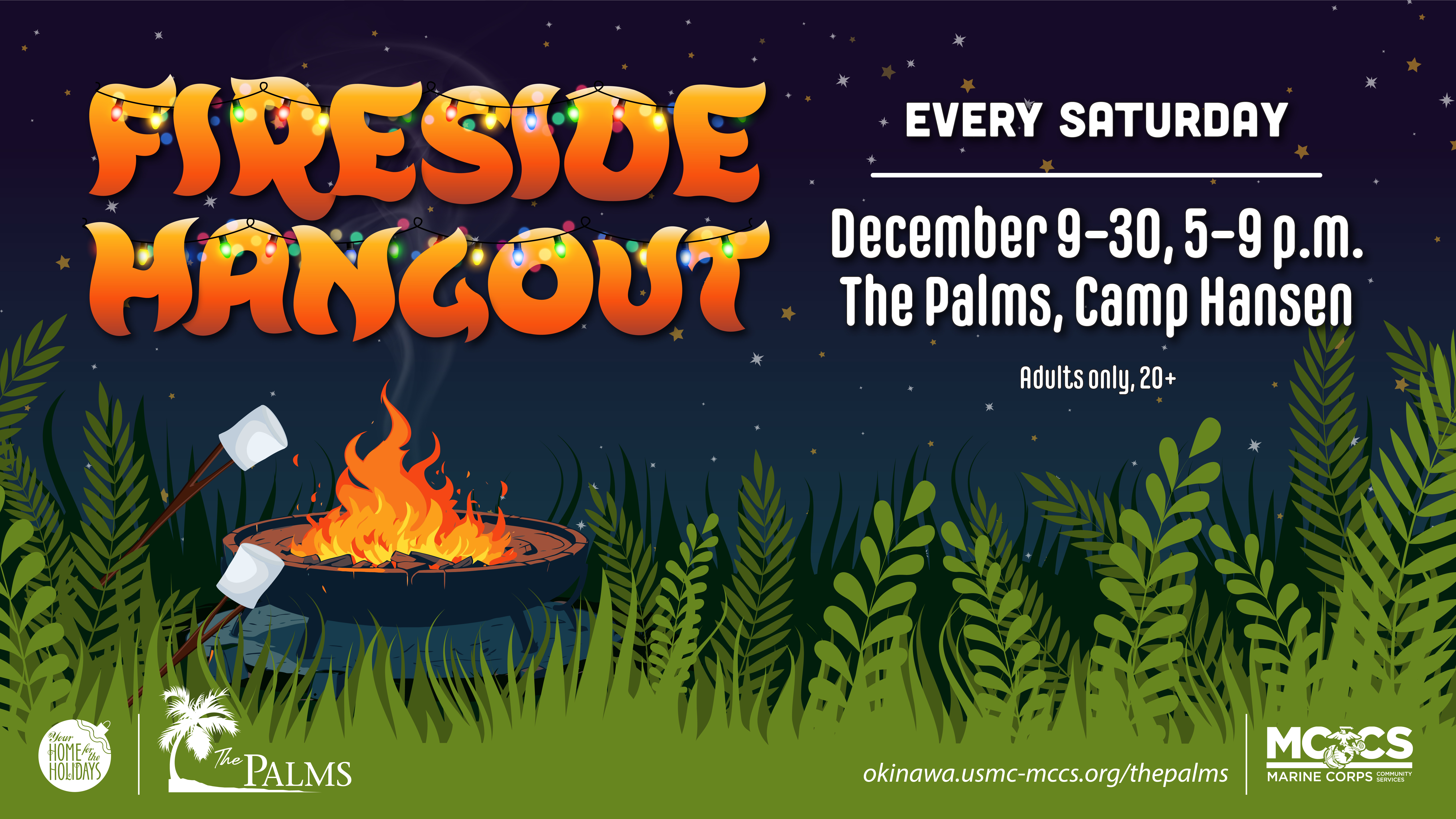 Fireside TV Advertisement